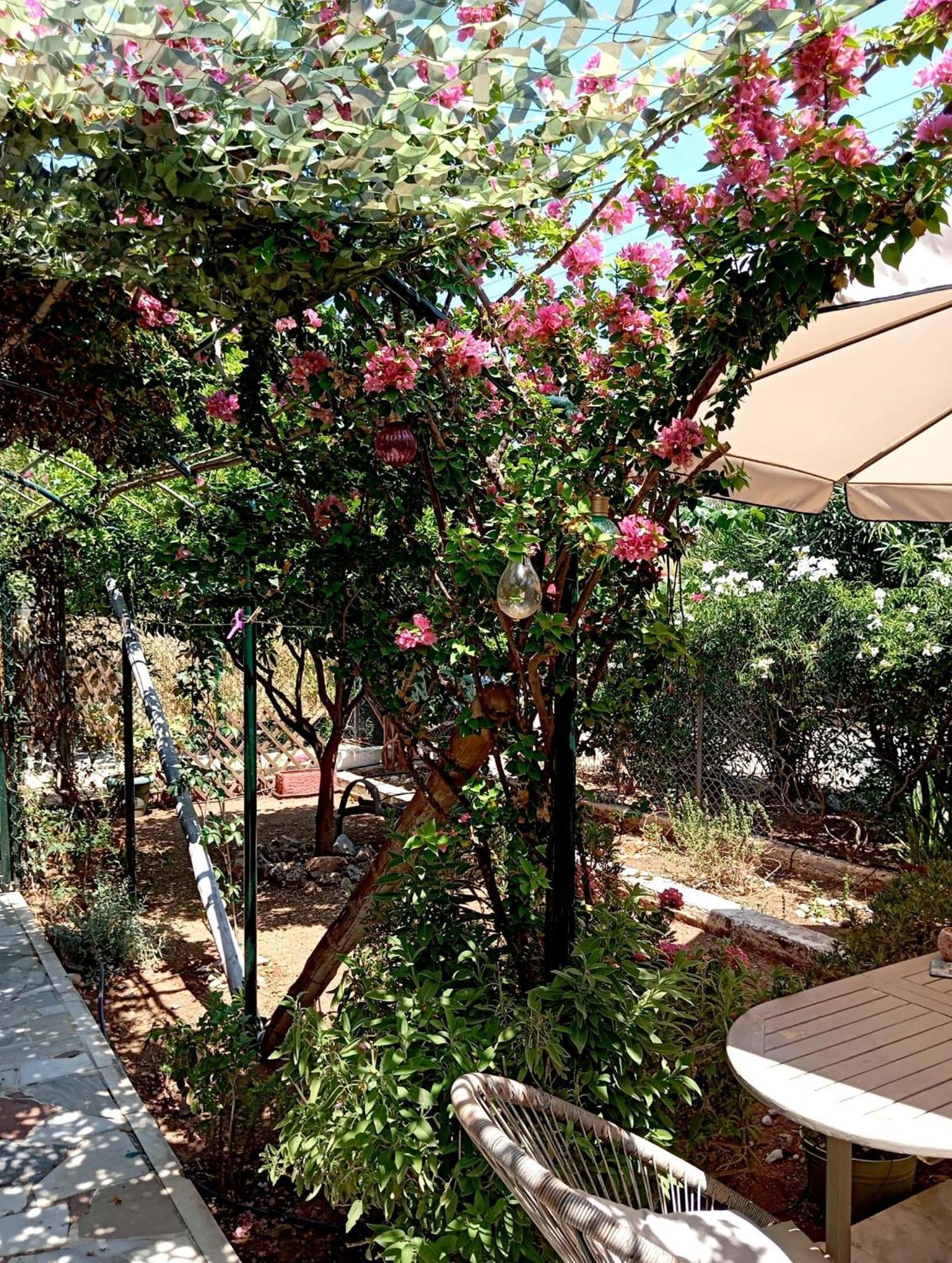 Εξοχικό Roxani Villa Ambelakia Buitenkant foto