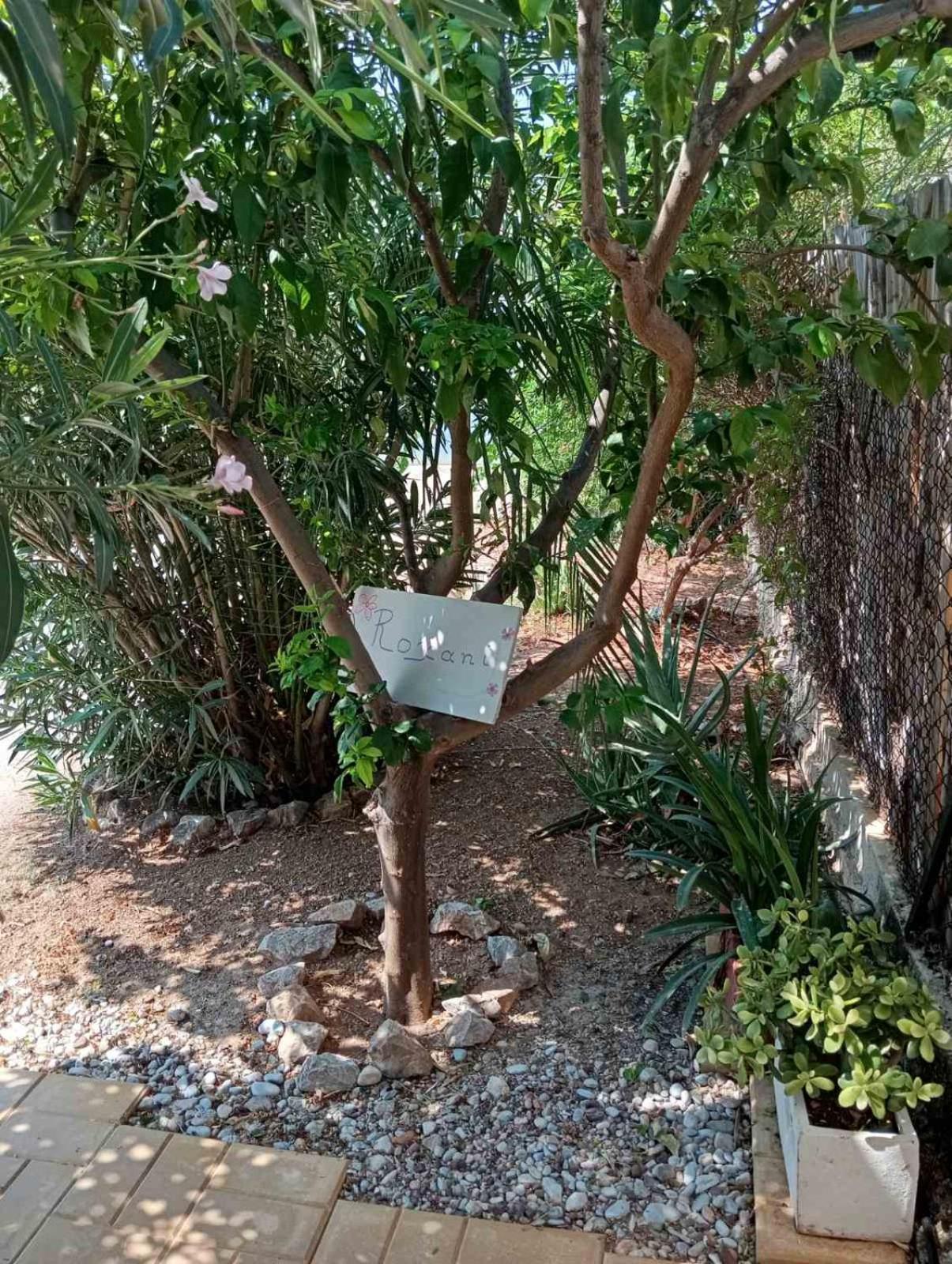 Εξοχικό Roxani Villa Ambelakia Buitenkant foto