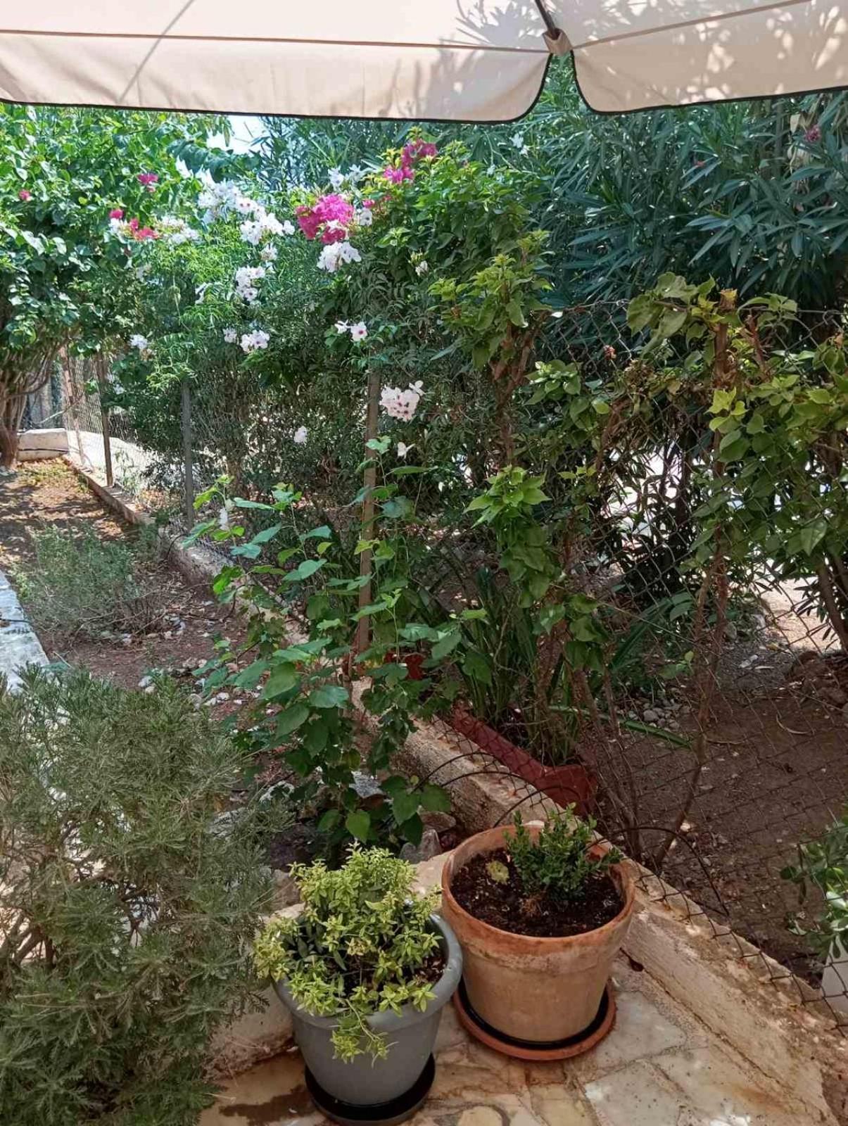 Εξοχικό Roxani Villa Ambelakia Buitenkant foto